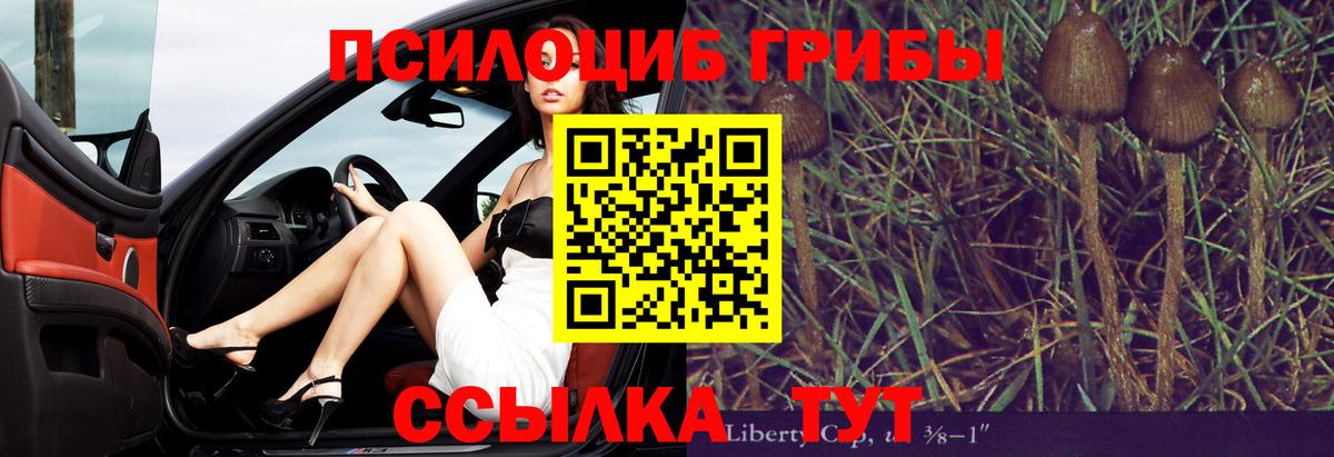 Галлюциногенные грибы GOLDEN TEACHER  Вход с VPN  Чехов 