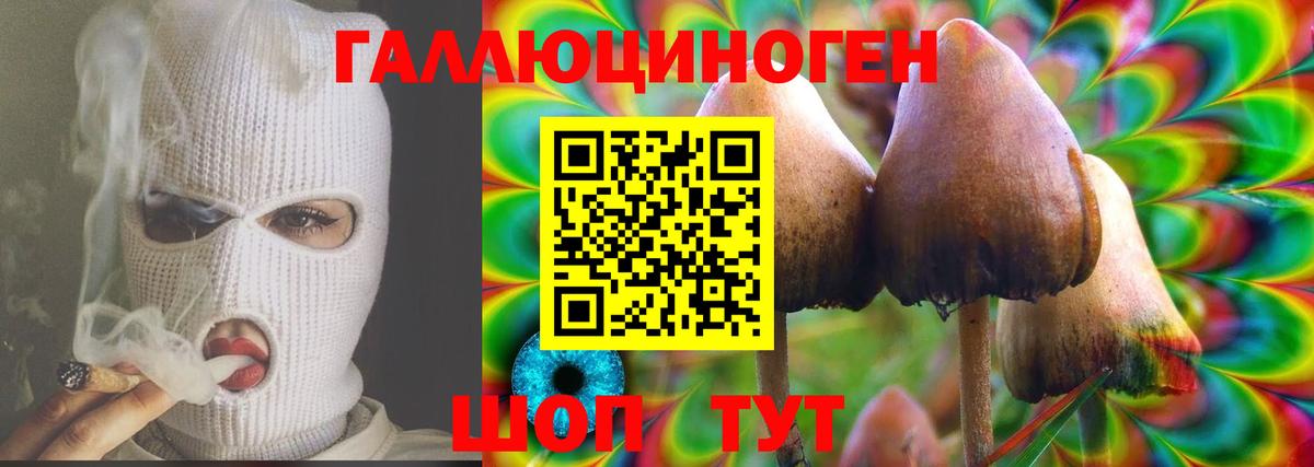 Галлюциногенные грибы GOLDEN TEACHER Чехов